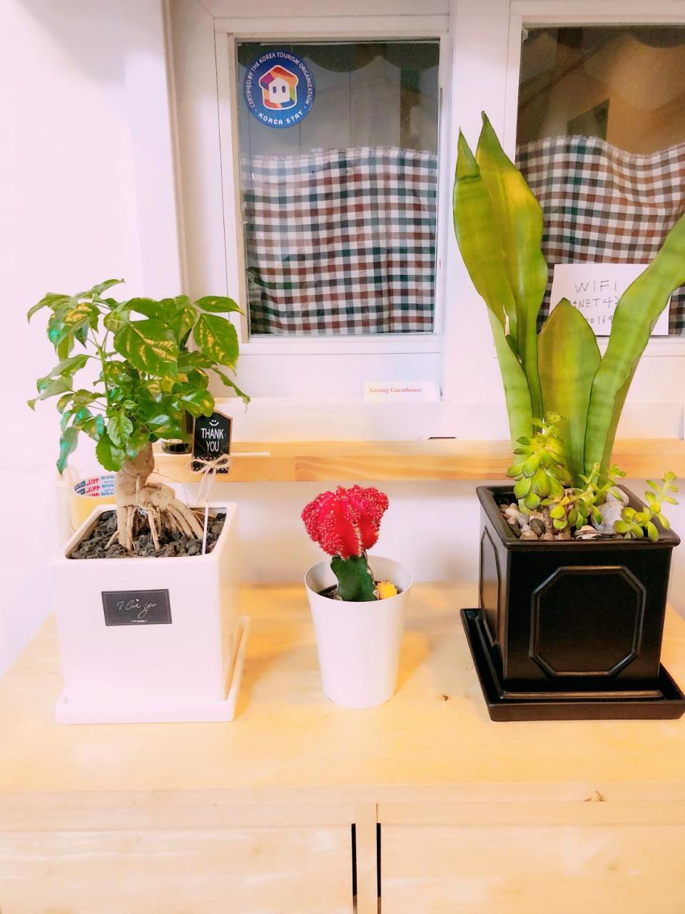 Sarang Guesthouse Dongdaemun Seoul Eksteriør billede